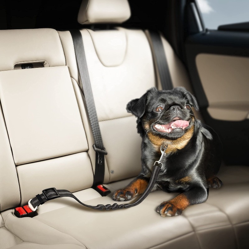 Retractable Dog Car Harness Se - مراجعة Snap Fastener Setter وسعره
