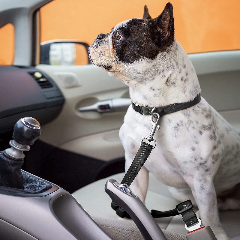 Retractable Dog Car Harness Se - مراجعة Snap Fastener Setter وسعره